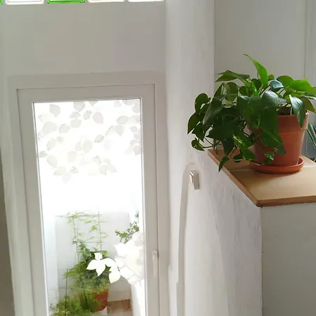 La Venta * Бенитачель